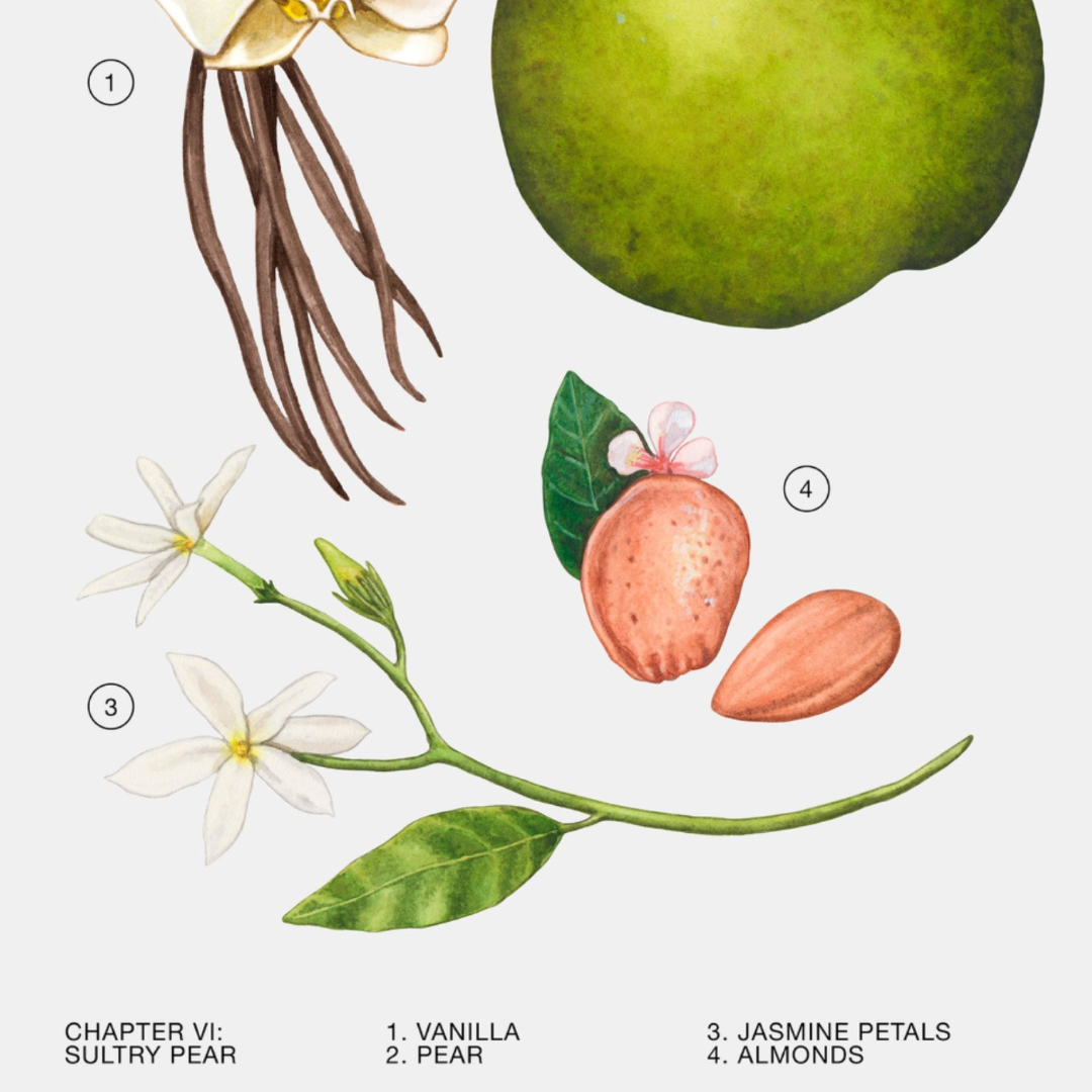 ZARA Eau de parfum Sultry Pear