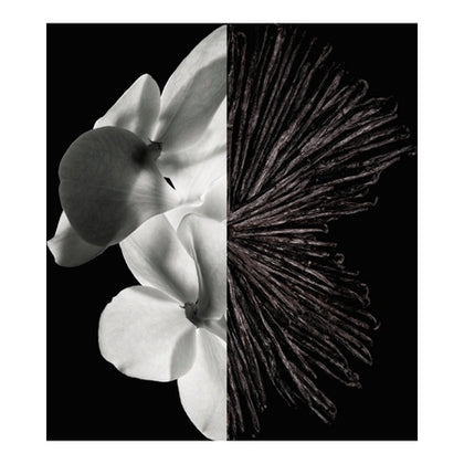 GIVENCHY Eau de parfum GENTLEMAN 100ml