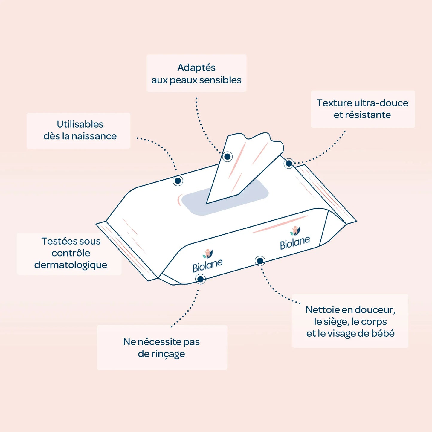 BIOLANE Lingettes Nettoie et protége H2O