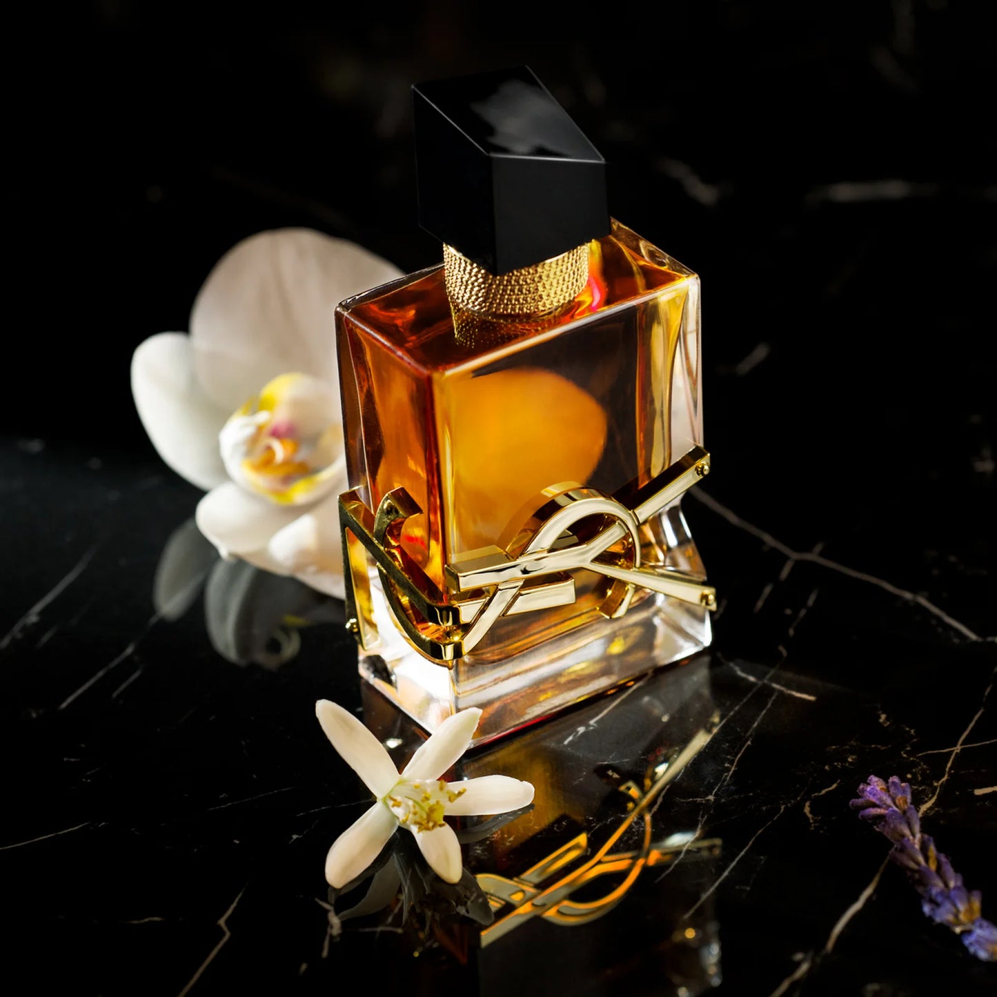 YVES SAINT LAURENT Libre Intense Eau de Parfum