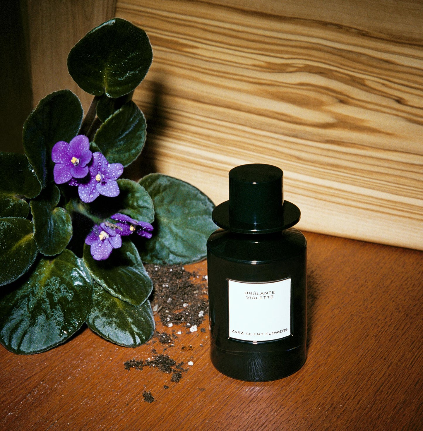 ZARA Eau de parfum Brulante Violette