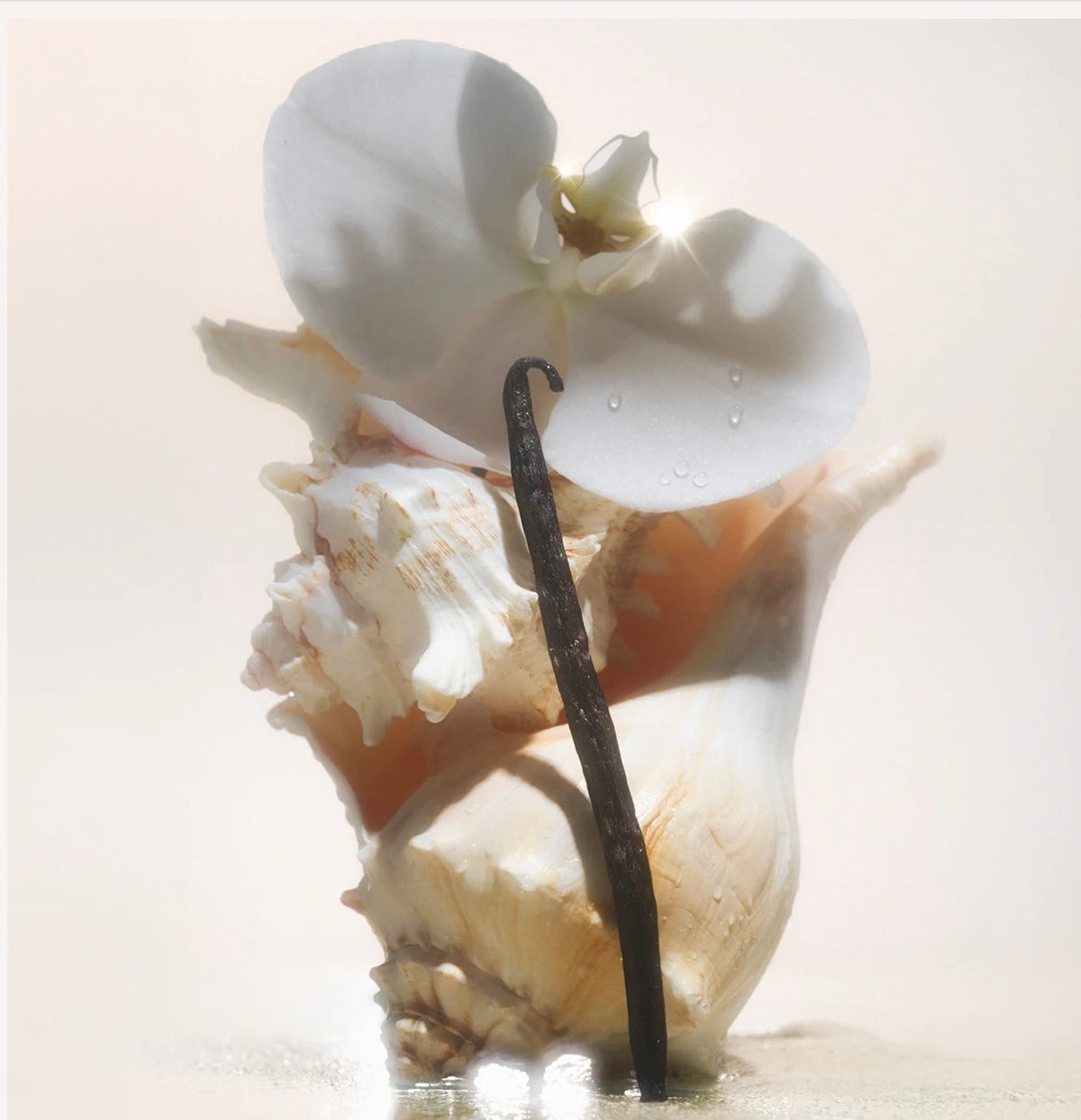 SALTAIR Gel douche éclaircissant SALT WATER VANILLA