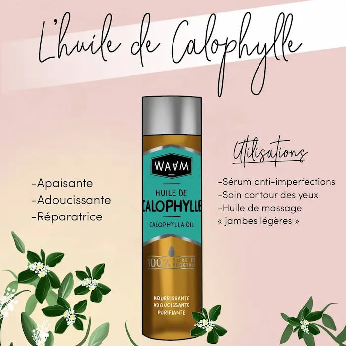 WAAM Huile de Calophylle (Tamanu)